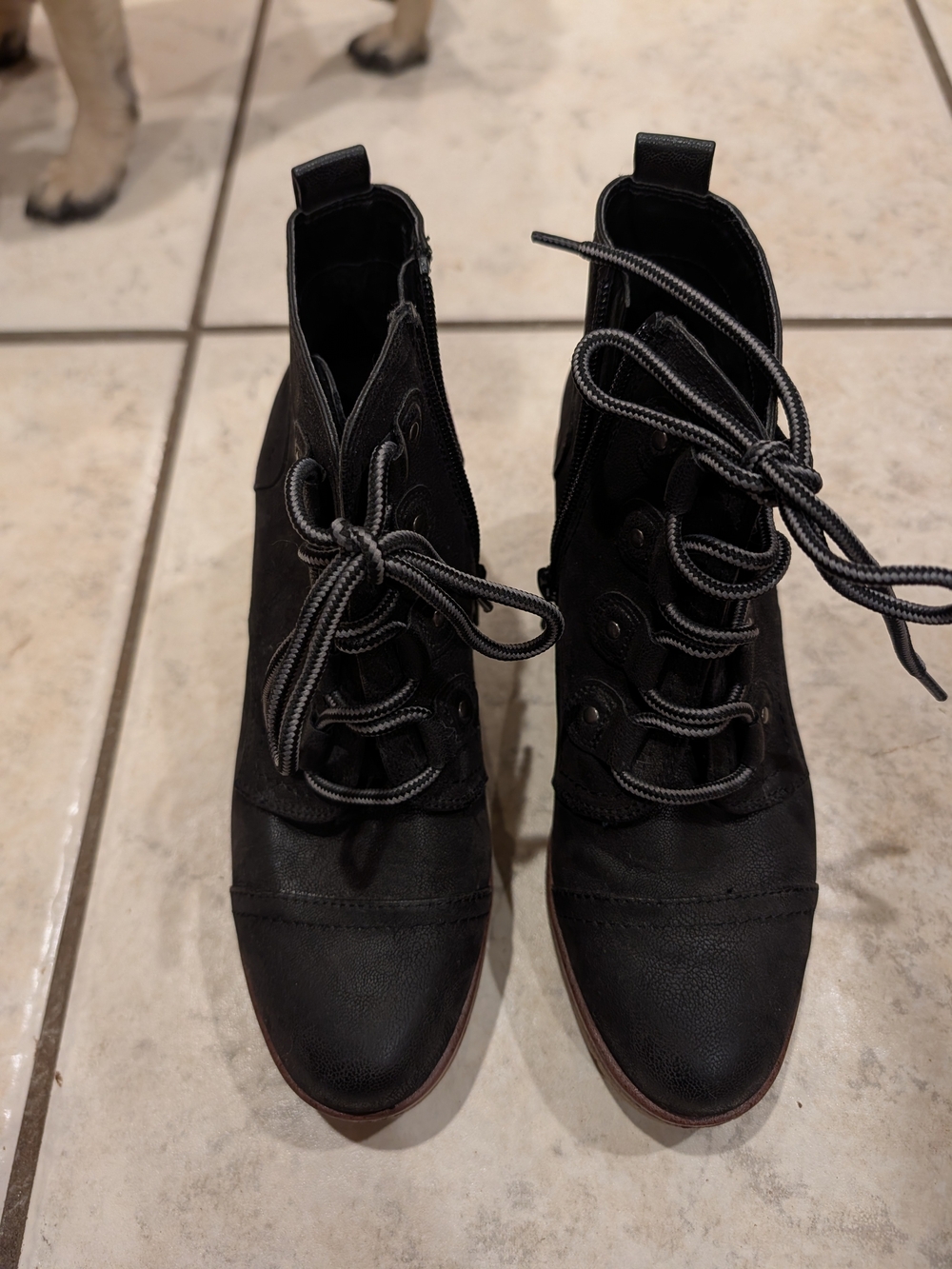 Women’s Black Lace-Up Ankle Boots, MIA, Size 6